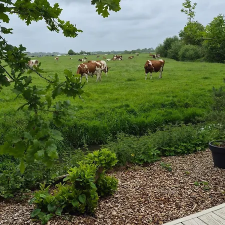 Het Ooievaarsnest Apartmán